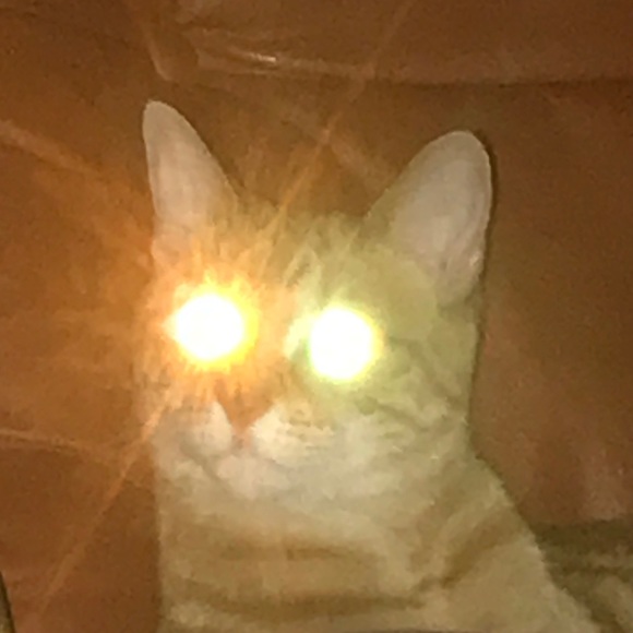 mischastolze